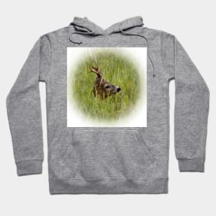 Roebuck Hoodie